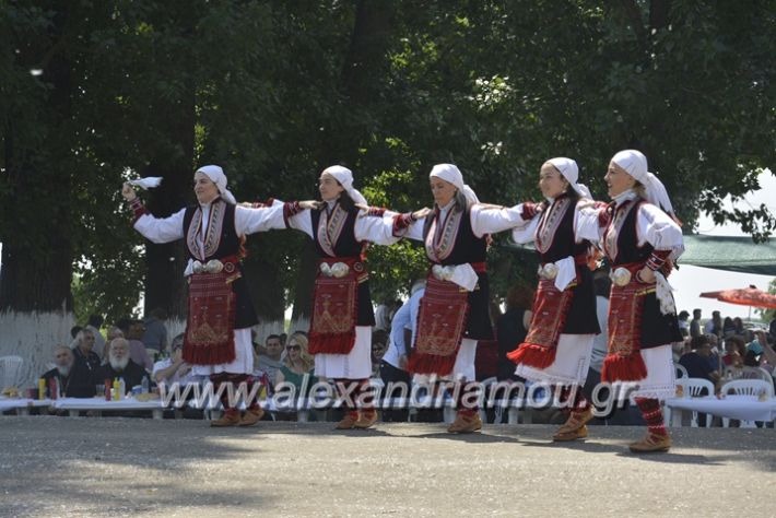 alexandriamou.gr_trikala28.5.2018122